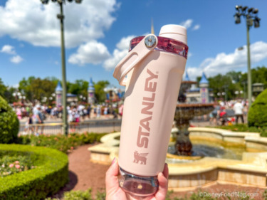 Dfb vitalize backpack shaker bottle stanley affiliate product photo mar 28 2026 2 07 14 pm 8064 x 6048