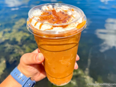 Dfb biscoff cookie butter latte cafe rix coronado springs resorts disney world photo sep 14 2026 1 57 51 pm 5712 x 4284