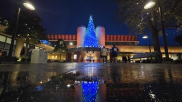 PHOTOS: Nighttime Tour of Animation Courtyard at The Magic of Disney Animation in Disney's Hollywood Studios