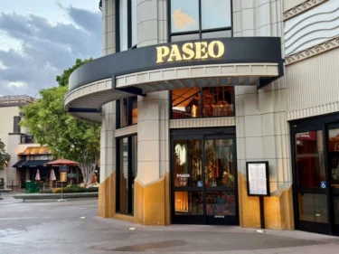 Dlr zoe wood 2025 downtown disney paseo large