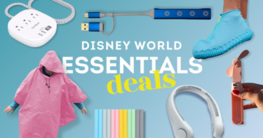 Disney world essentials on sale 2