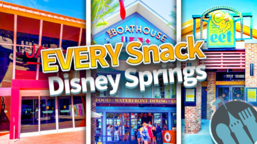 Everysnackdisneyspringsthumbnail 04