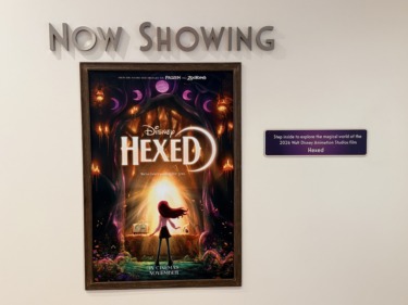 Hexed moda 12