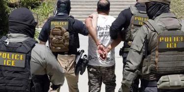 Ice agents walk detainee july 2026