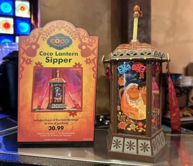 New at Disneyland: Coco Sipper, Japan Plush & Construction