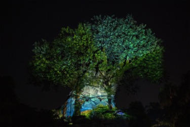 New 2026 dvc moonlight magic dates announced for epcot and animal kingdom 1