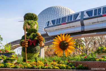 Bright duck topiary with sunflower in front at EPCOT Flower & Garden Festival 2026.