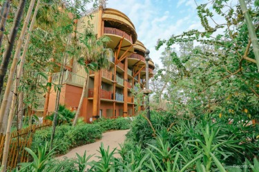 Disney resort crowd escapes animal kingdom lodge