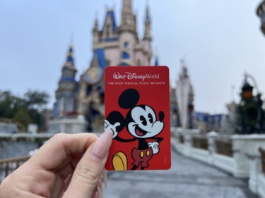 Disney world park hopper ticket