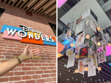 Dlp disney wonders disney village cover