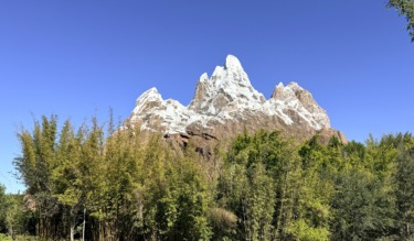 Single No More: Expedition Everest to Remove Single Rider Option