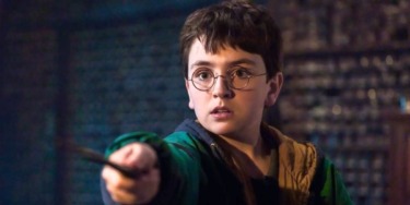 Harry potter hbo wand