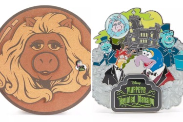 Muppets haunted mansion pins board