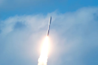 Universal sticks with gibneys musk overseas