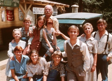Waltons metv