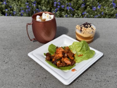 Wdw epcot food and wine 2026 festival favorites 3506 scaled