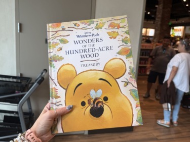 Wonders of the hundred acre wood 4707 scaled