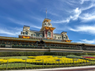 Disney Merchandise