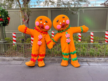 Disney Merchandise