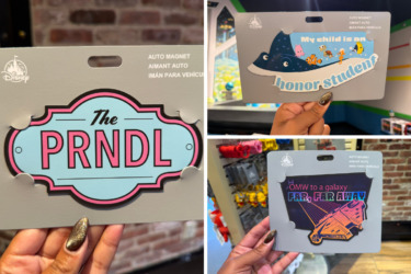 Dlr automagnets featured