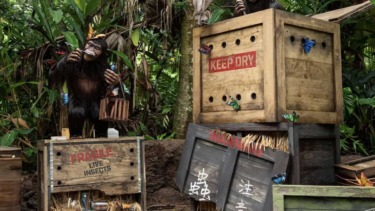 Jungle cruise mk
