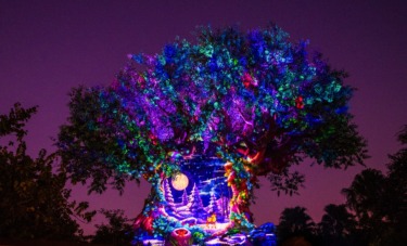 Tree of Life Awakenings Show Returns to Animal Kingdom Ahead of Christmas 2026 with ‘Bonus’ Nights