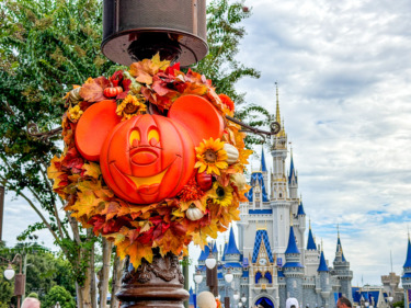 Disney Merchandise