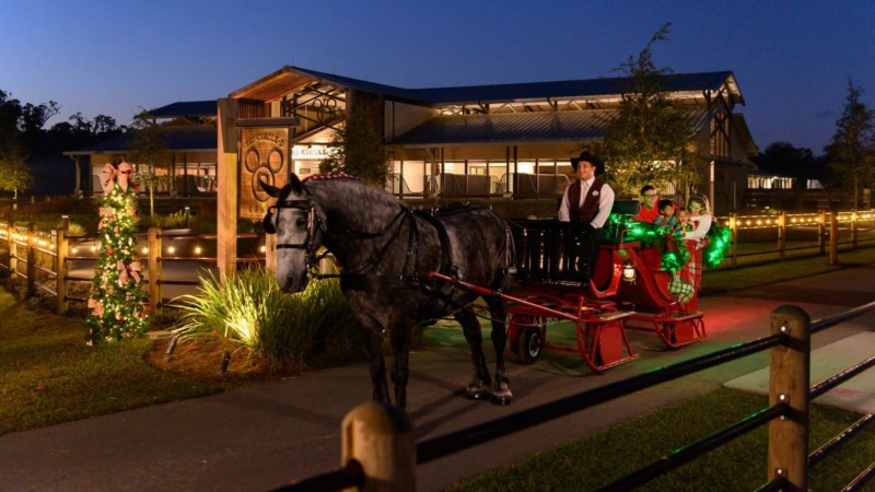 Two parents and their 2 kids ride in a horse drawn sleigh